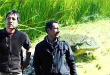 Rana Gigante del Lago Titicaca en peligro de extinción