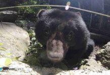 Senda Verde, donde los animales silvestres se recuperan del maltrato