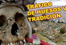 Realidad y mito