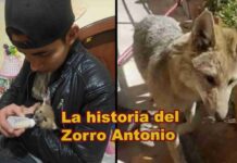 Entrevista