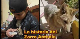 Entrevista