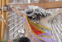Los Devotos del Señor de Maica: Fe y Milagros en Yotala, Sucre