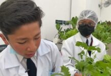 Estudiantes paceños cultivan el futuro en un huerto inteligente y sostenible