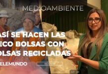Cómo se hacen las Eco-bolsas que generán economía para recolectoras, Innovaplast lo está logrando