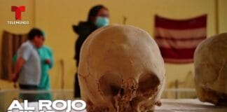 Quiénes son los seres híbridos, mitad humano y mitad extraterrestre? hallaron restos en la comunidad de Arbieto, Cochabamba